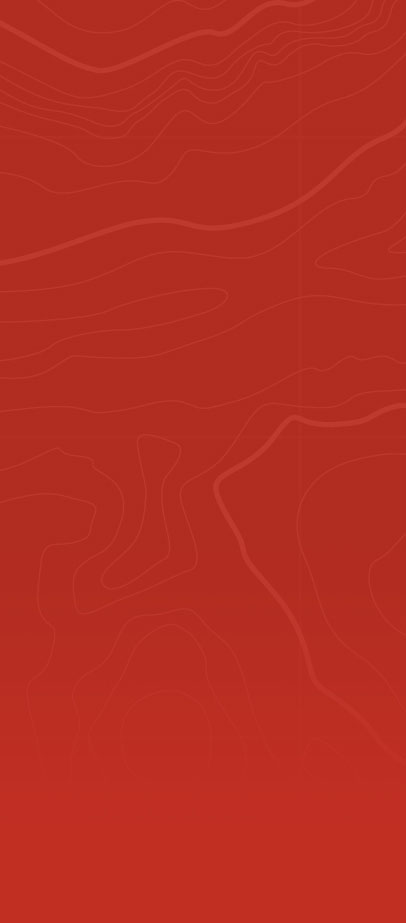 Chief Performance Officer